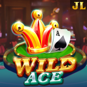 Wild Ace on JL43 app casino